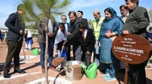 Tree plantation and landscaping work underway along roads and green belts in Islamabad